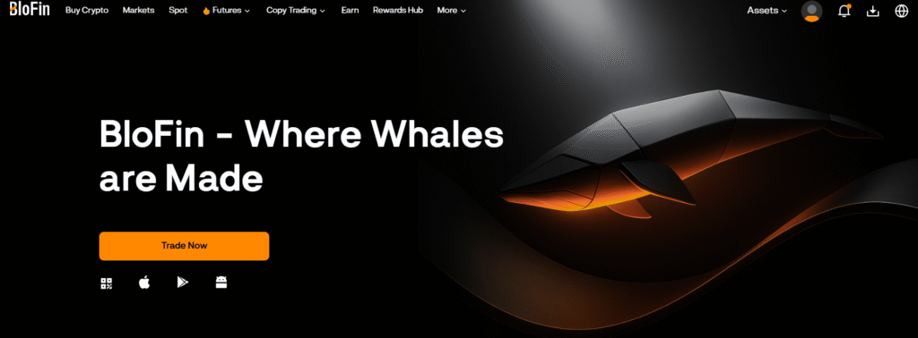Visit the Blofin Website